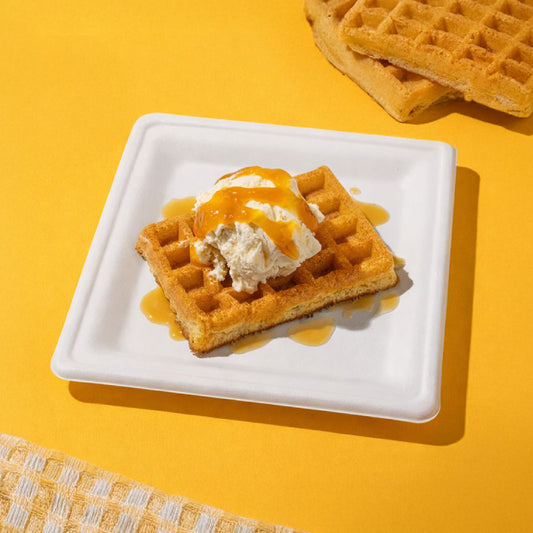 8 inches | Sugarcane Square Plates | Compostable Disposable Bowls | 500 pcs