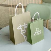 Paper Kraft Take-Out Bags With Handles